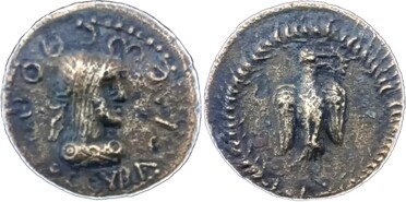 ������: 732-5318