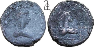 ������: 736-4561