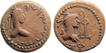 ������: 736-5137