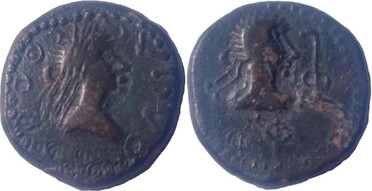 ������: 738-5286