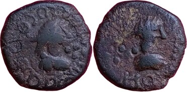 ������: 746-4711