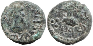 ������: 746-4901