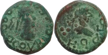 ������: 746-4901