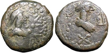 ������: 748-4620