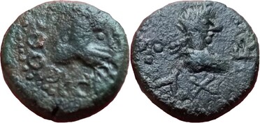 ������: 749-5101