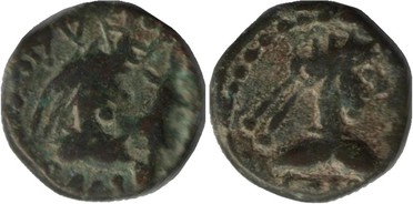 ������: 761-4644