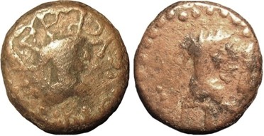 ������: 761-4644