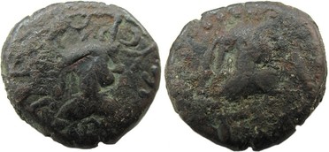 ������: 761-4644