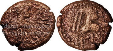 ������: 761-4644