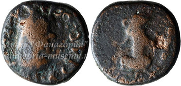 ������: 761-4644