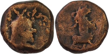 ������: 761-4644