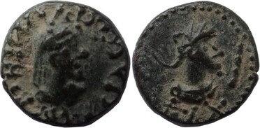 ������: 761-4644