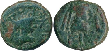 ������: 761-4644