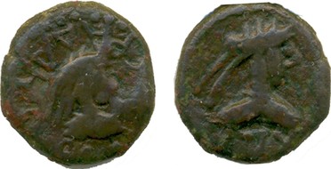 ������: 761-4644