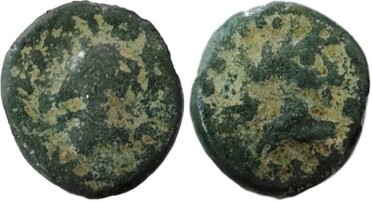 ������: 765-4648