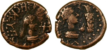 ������: 769-4181