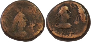 ������: 769-4181