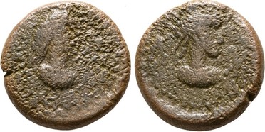 ������: 769-4391