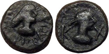 ������: 769-5139