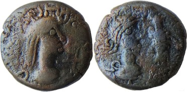 ������: 770-5209