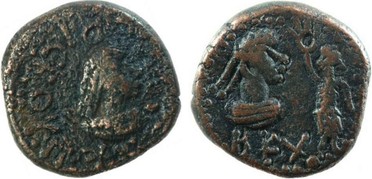 ������: 771-4404