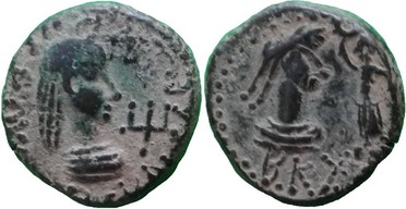 ������: 771-4882