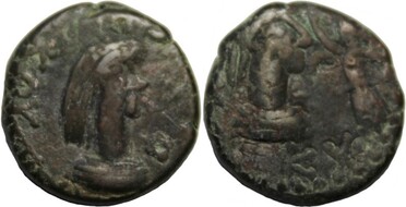 ������: 772-4579