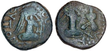 ������: 772-5136