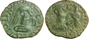 ������: 772-5136