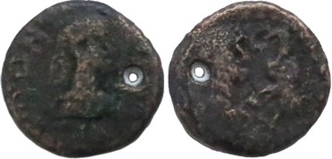 ������: 772-5136