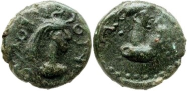 ������: 772-5317