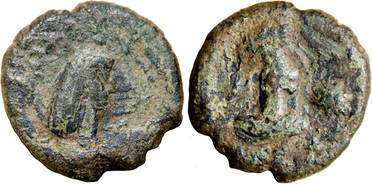 ������: 773-4035