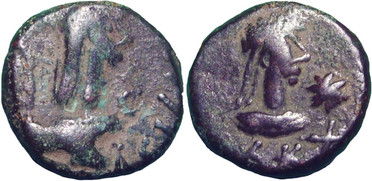 ������: 773-5186