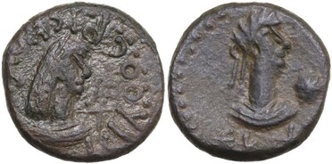 ������: 774-4667