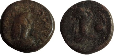 ������: 774-4667