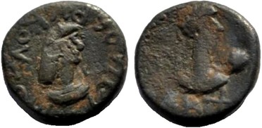 ������: 774-4667