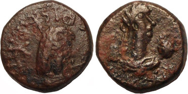 ������: 774-4667